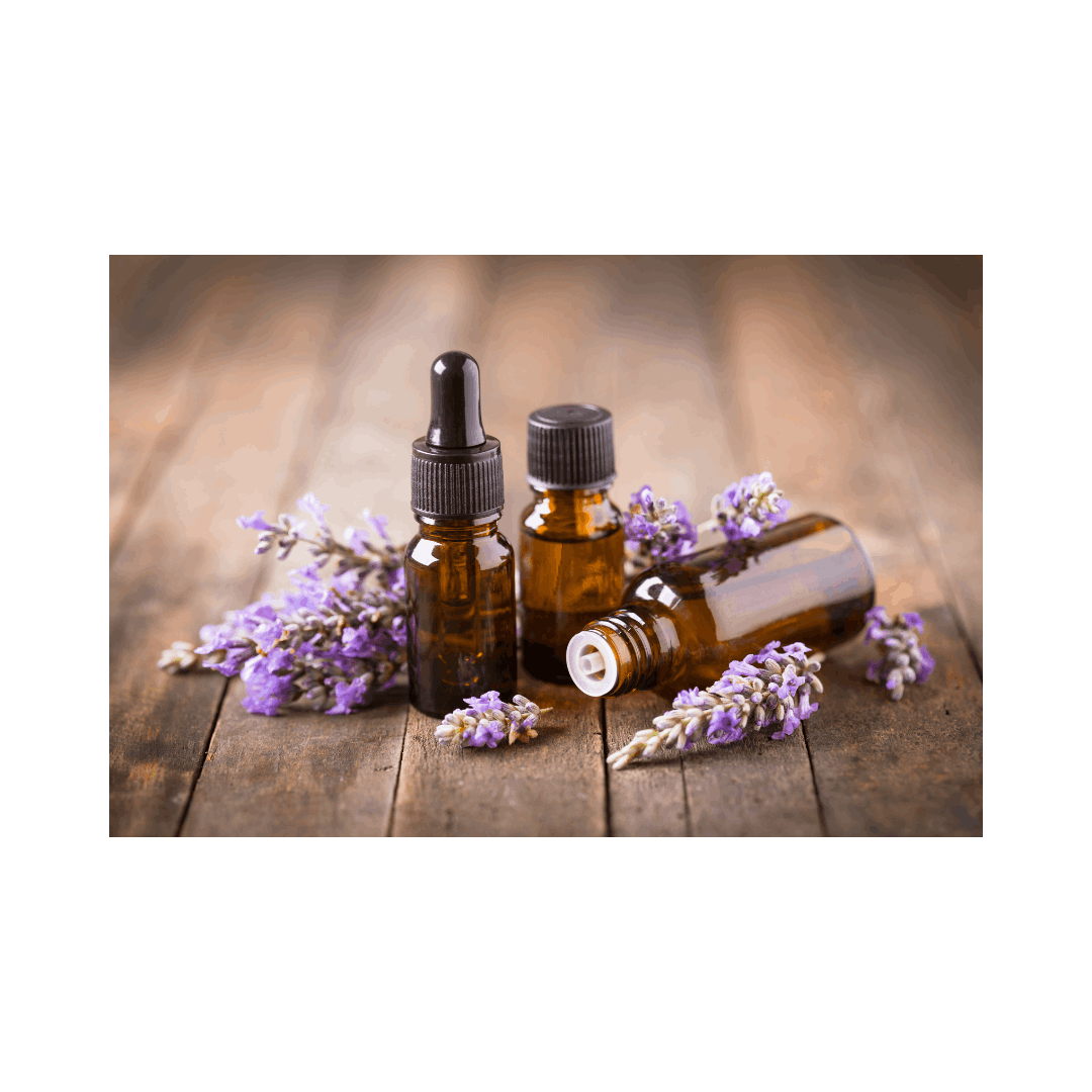 Professional Class Organique spa